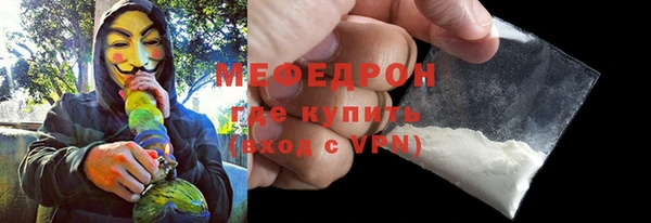 индика Вязьма