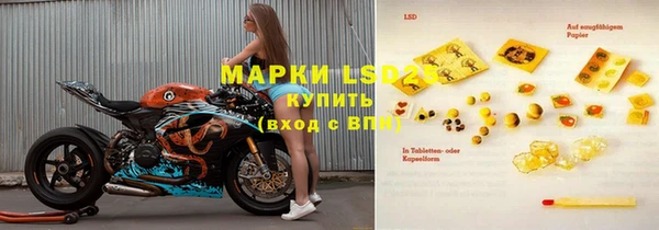 шишки Вяземский