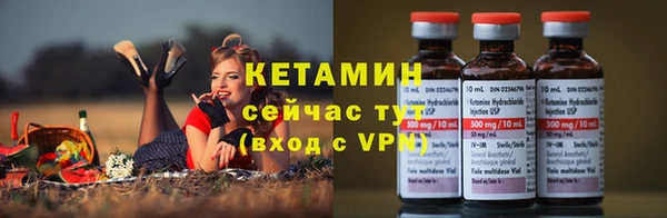 индика Вязьма