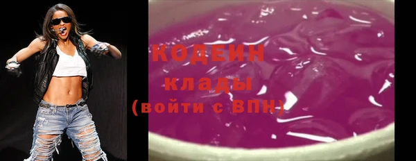 индика Вязьма