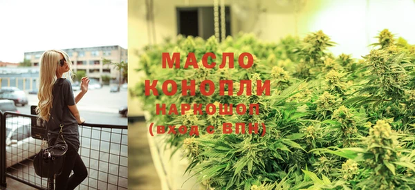 индика Вязьма