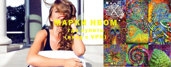 индика Вязьма