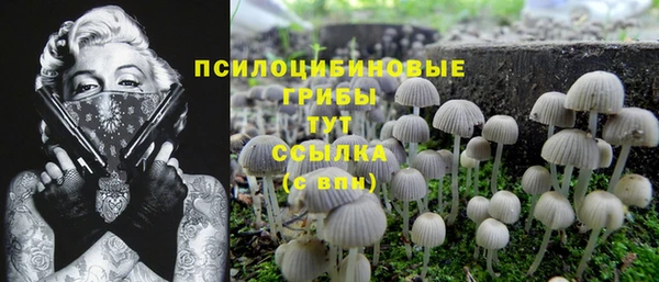 шишки Вяземский