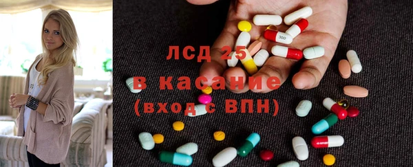 индика Вязьма