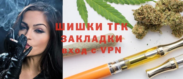 индика Вязьма