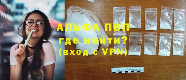шишки Вяземский