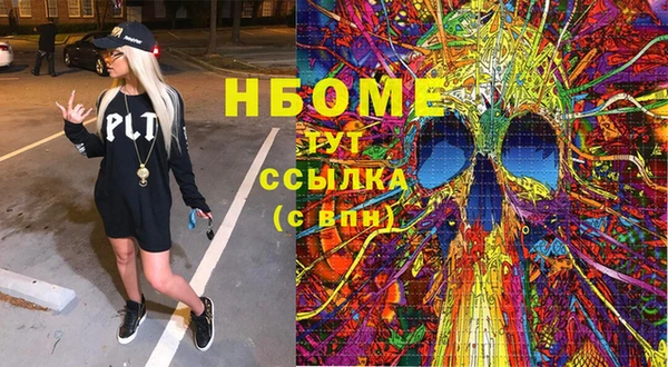 индика Вязьма