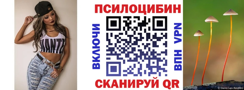 Галлюциногенные грибы MAGIC MUSHROOMS  Купить закладки  Шадринск 